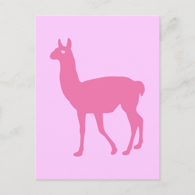 Postal Llama rosa (Anverso)