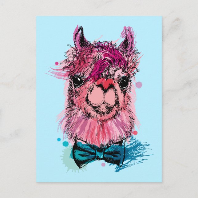 Postal Llama rosada cuta (Anverso)