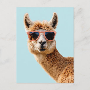 Postal Llama suave con gafas de sol encendidas