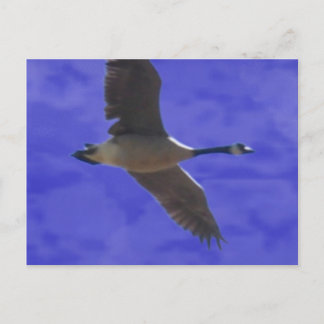 Postal Llamada a la libertad