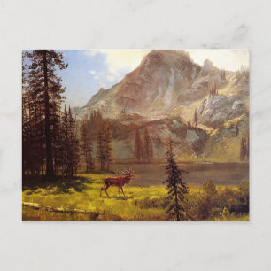 Postal Llamada de lo salvaje de Albert Bierstadt 1876-77