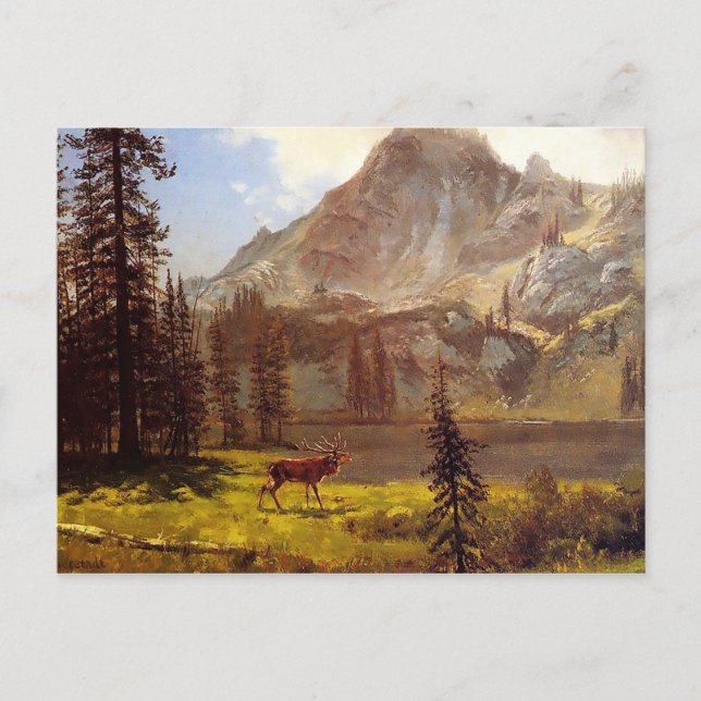 Postal Llamada de lo salvaje de Albert Bierstadt 1876-77 (Anverso)