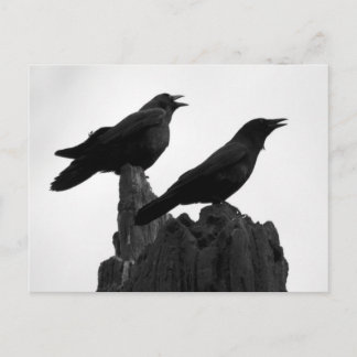 Postal Llamada nocturna