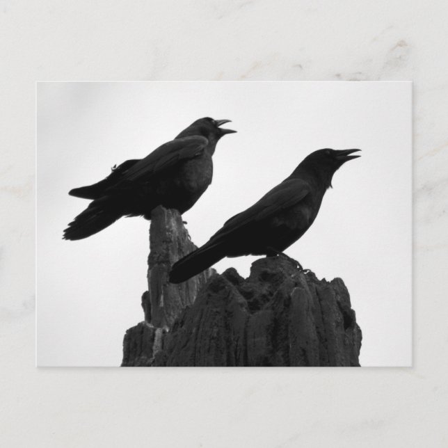 Postal Llamada nocturna (Anverso)