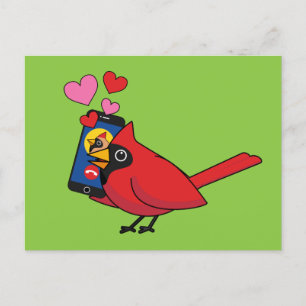 Postal Llamadas Cardinal Bird Love Mating