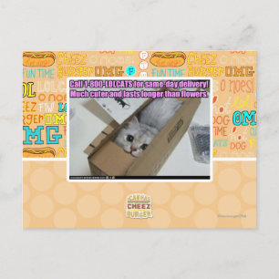 Postal Llamar al 1-800-LOLCATS