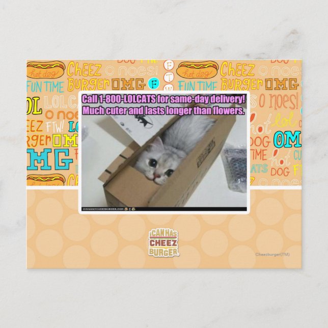 Postal Llamar al 1-800-LOLCATS (Anverso)