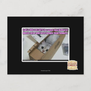 Postal Llamar al 1-800-LOLCATS