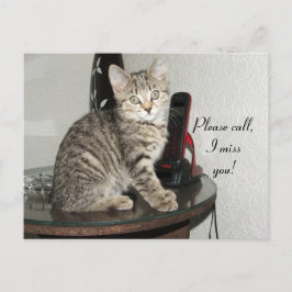 Postal Llame a Kitty