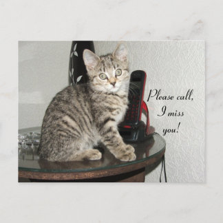 Postal Llame a Kitty