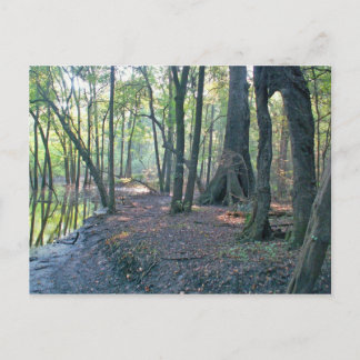 Postal Llanto del río Suwannee