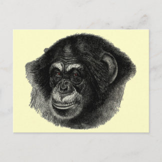 Postal Llanura de chimpancé