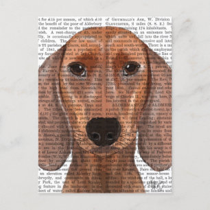 Postal Llanura de Ilustracion de Dachshund