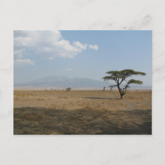Postal Llanuras de Serengeti