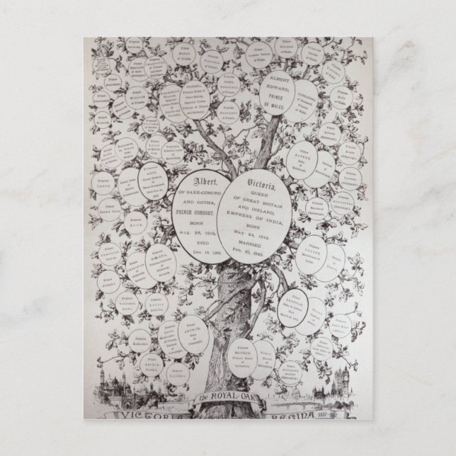 Postal Llave al árbol genealógico (Anverso)