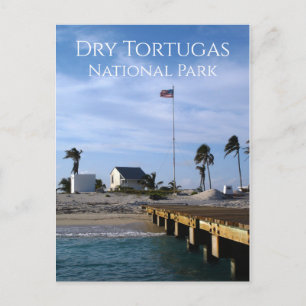 Postal Llave de la cabeza del árbol cerca del faro, Tortu