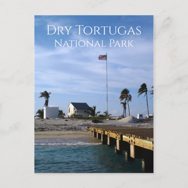 Postal Llave de la cabeza del árbol cerca del faro, Tortu (Anverso)