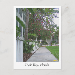 Postal Llave de pato, Florida