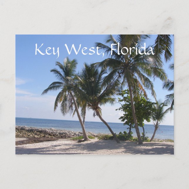 Postal Llave Oeste, Florida (Anverso)