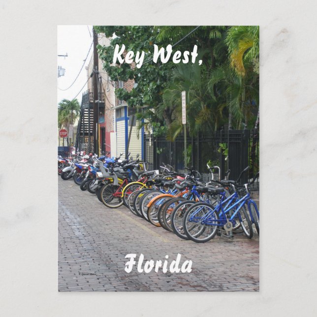 Postal Llave Oeste, Florida (Anverso)