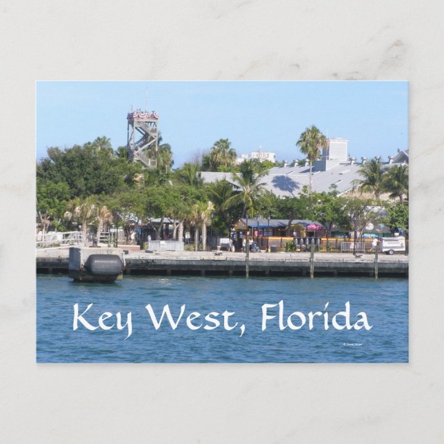 Postal Llave Oeste, Florida (Anverso)