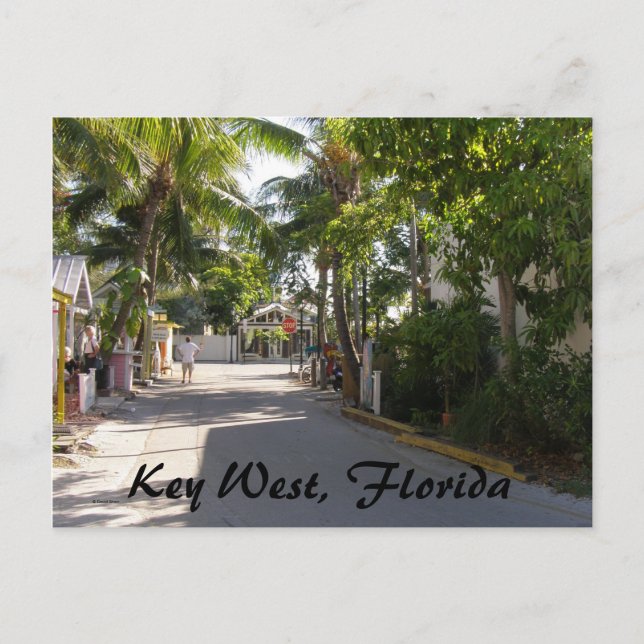 Postal Llave Oeste, Florida (Anverso)