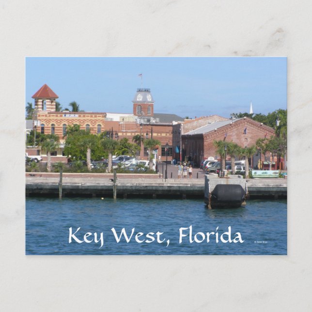 Postal Llave Oeste, Florida (Anverso)