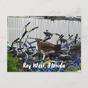 Postal Llave Oeste, Florida