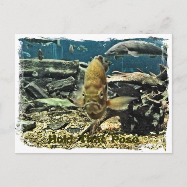 Postal Lleve a cabo esa actitud (Anverso)