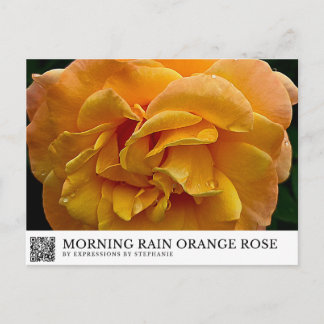 Postal Lluvia de la Mañana Rosa Naranja