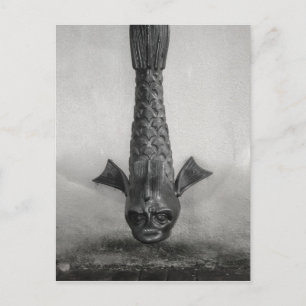 Postal Lluvia de pescado en Savannah, Ga.