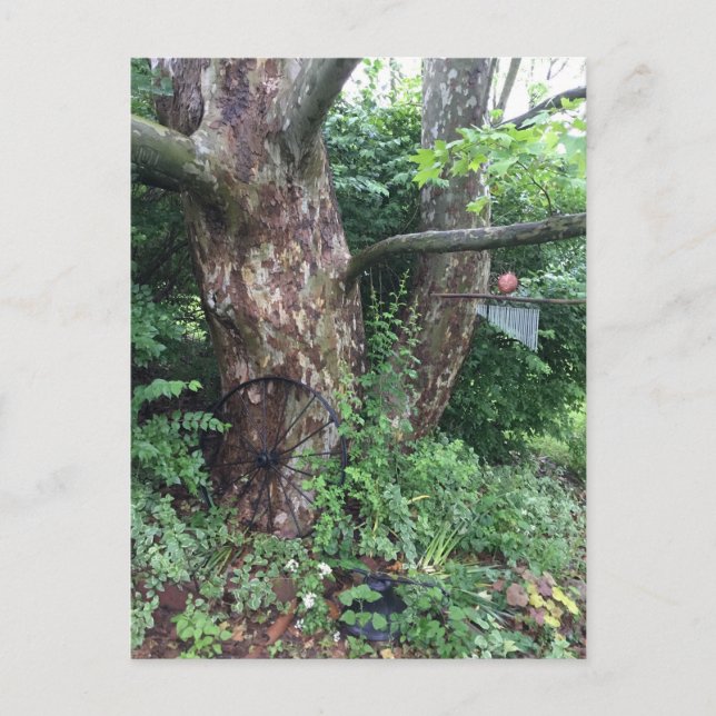 Postal Lluvia de verano suave (Anverso)