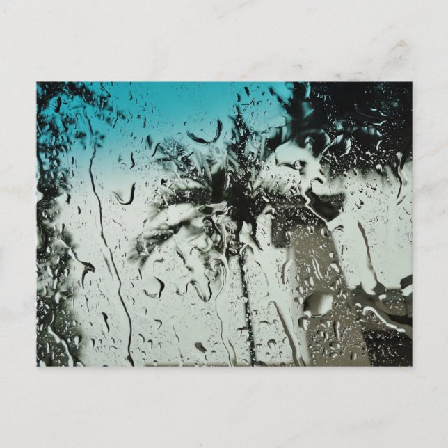 Postal Lluvia en Florida Postcard (Anverso)