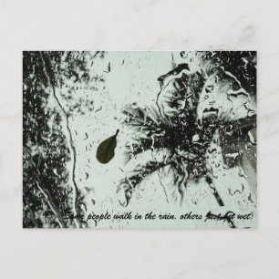 Postal Lluvia en Florida Postcard