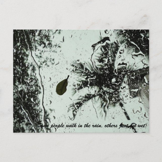 Postal Lluvia en Florida Postcard (Anverso)