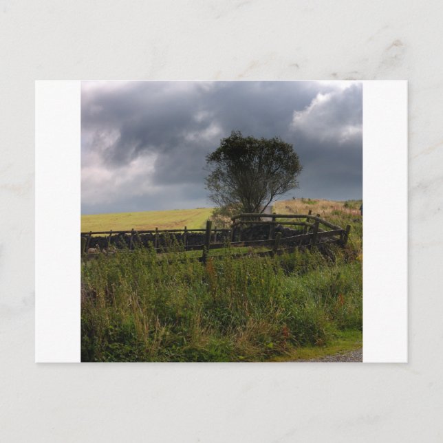 Postal Lluvia pronto (Anverso)