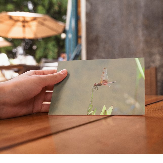 Postal Lluvia roja descansando sobre una paja (Subido por el creador)
