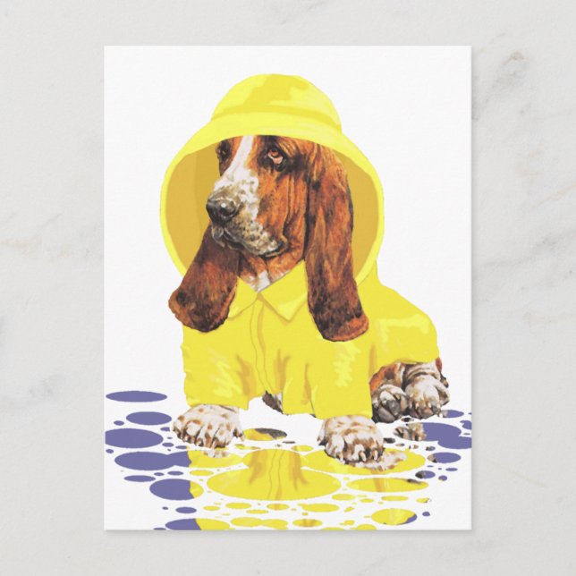 Postal Lluvias de Abril del Basset Hound (Anverso)