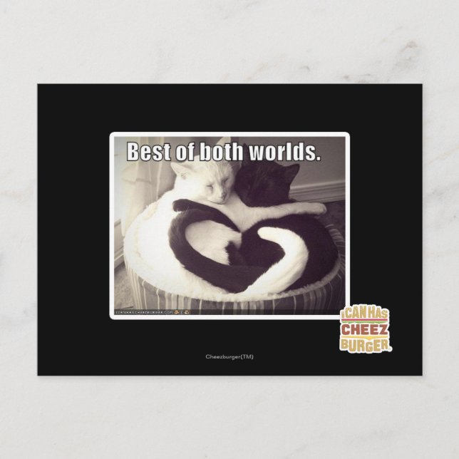 Postal Lo mejor de ambos mundos. (Anverso)