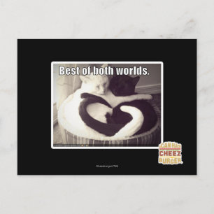 Postal Lo mejor de ambos mundos.