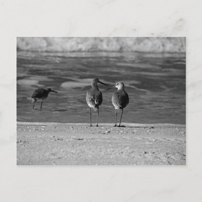 Postal Lo mejor de la vida es gratis (Anverso)