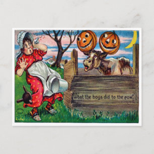 Postal Lo Que Los Niños Hicieron A Las Vacas Postcard