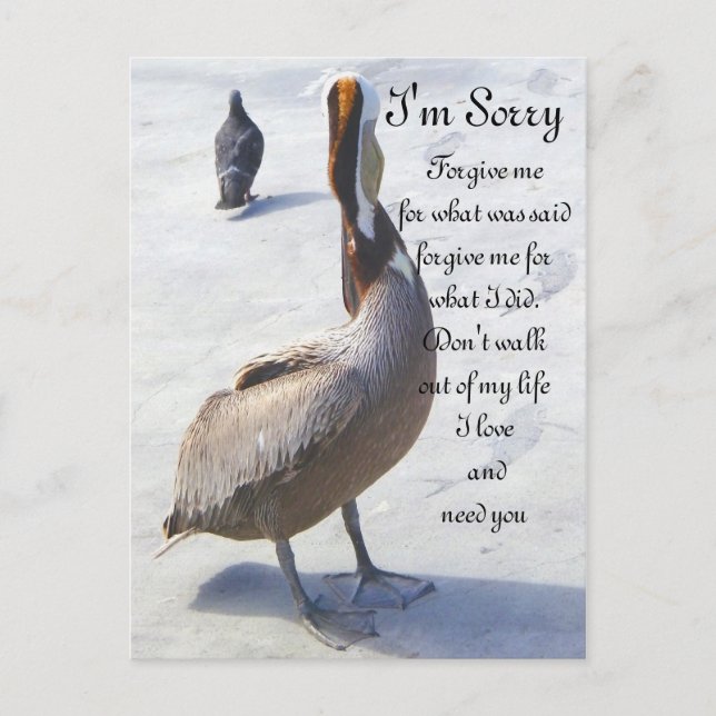 Postal Lo siento. (Anverso)