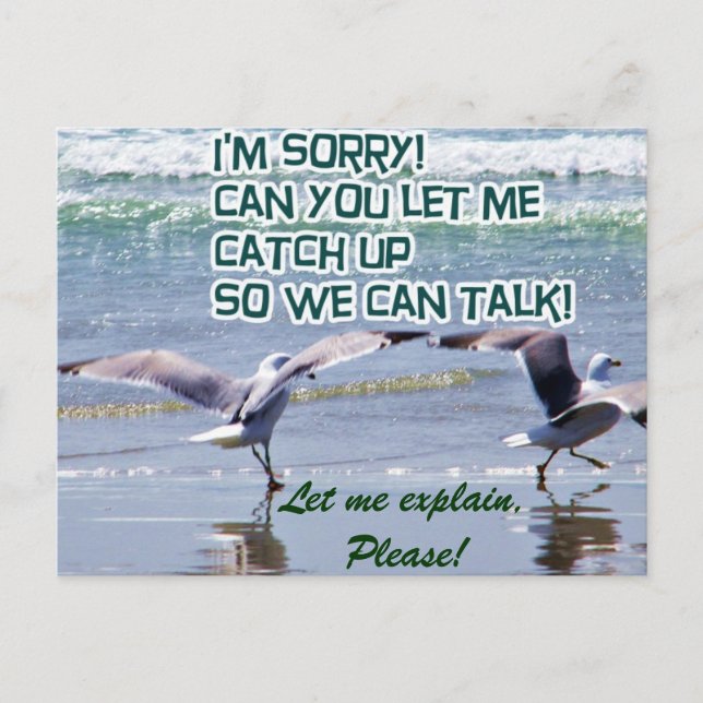Postal Lo siento. (Anverso)