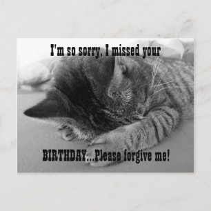 Postal Lo siento Kitten