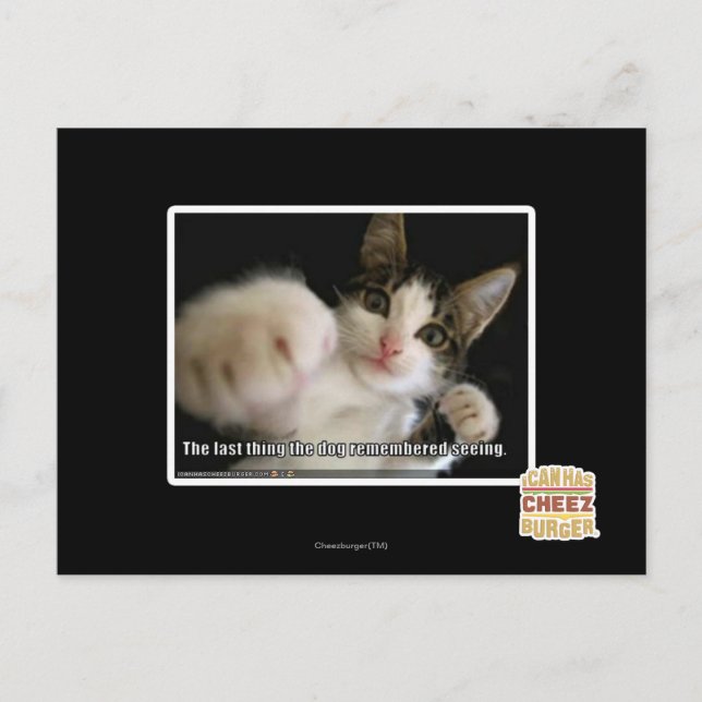 Postal Lo último (Anverso)