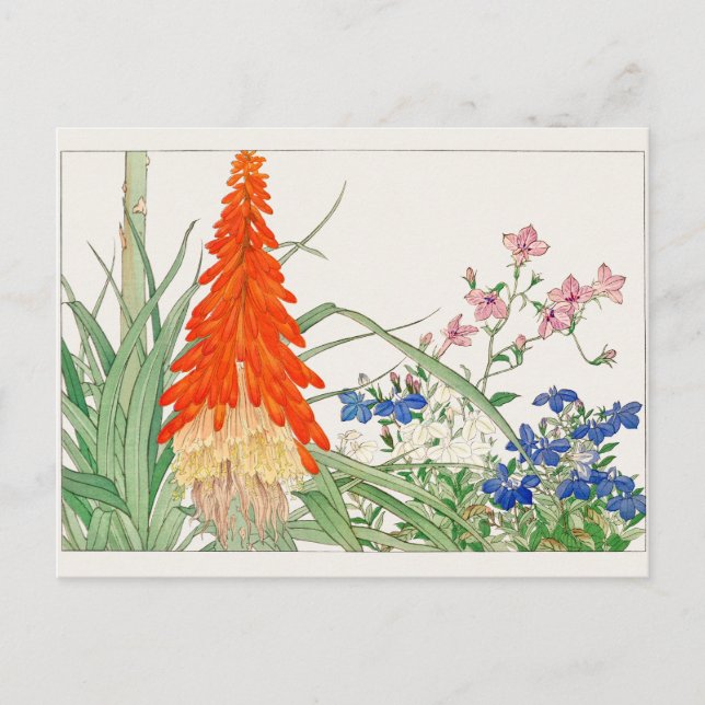Postal Lobelia de Tanigami Konan (Anverso)
