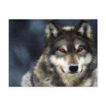 lobo