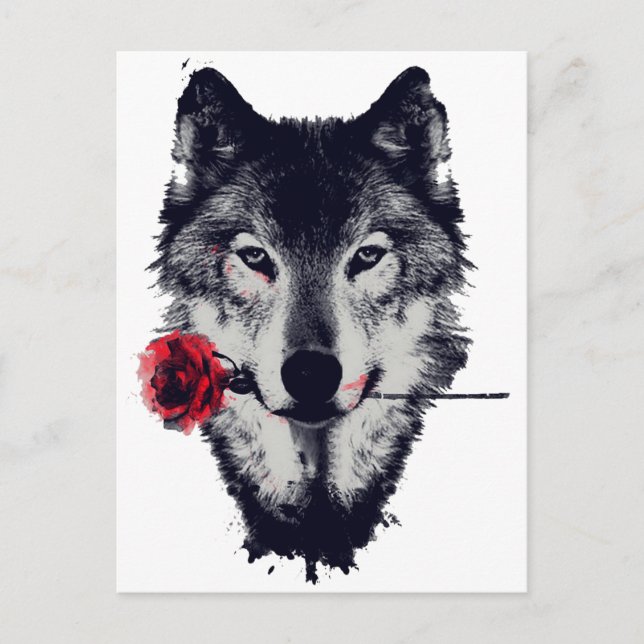 Postal Lobo (Anverso)