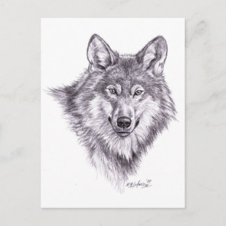 Postal lobo